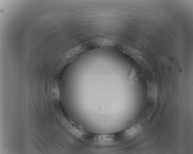 X0000062840622200601201639