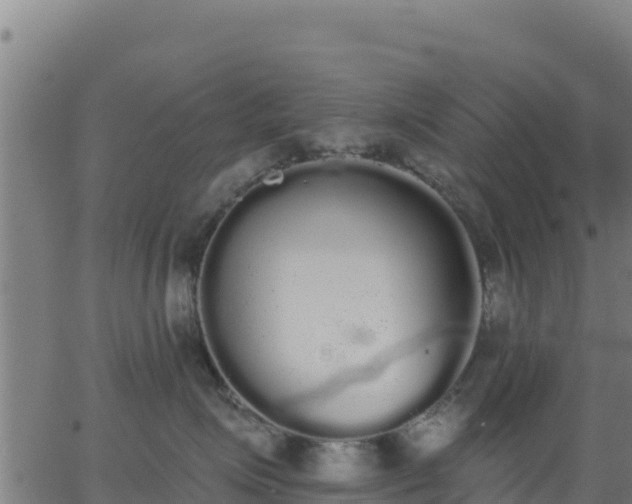 X0000062840623200601201639