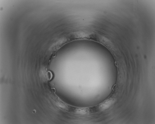 X0000062840624200601201639