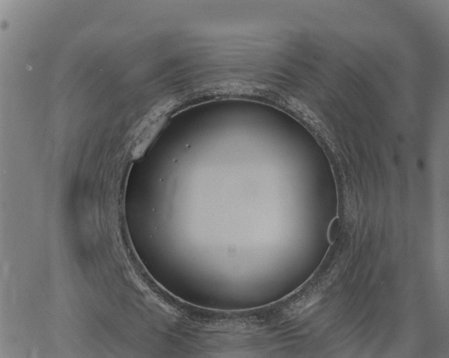 X0000062840625200601201639