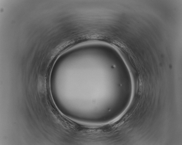 X0000062840626200601201639