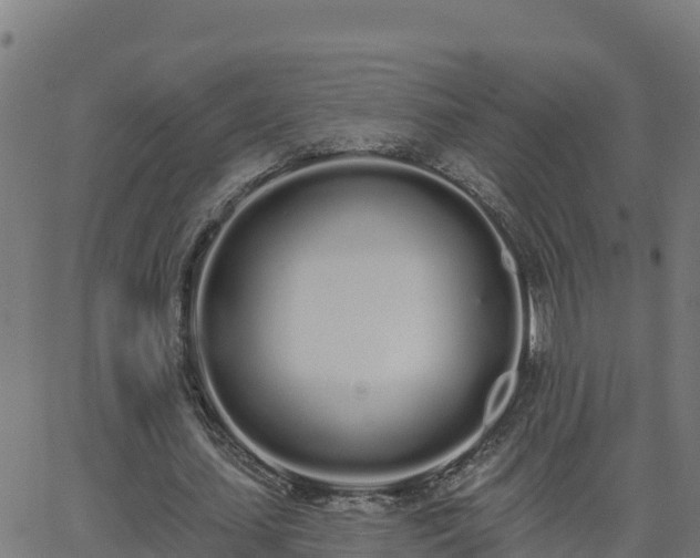 X0000062840627200601201639