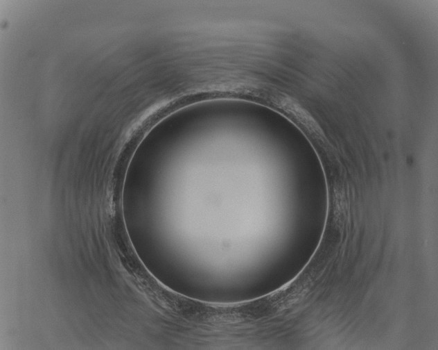 X0000062840628200601201639