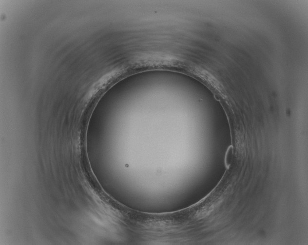 X0000062840629200601201639