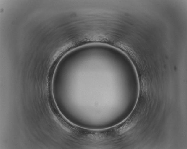 X0000062840630200601201639