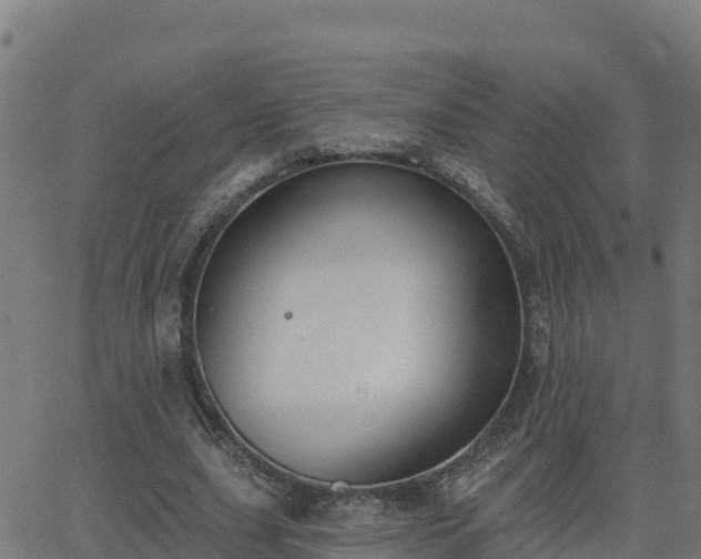 X0000062840631200601201639