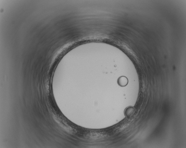 X0000062840632200601201639