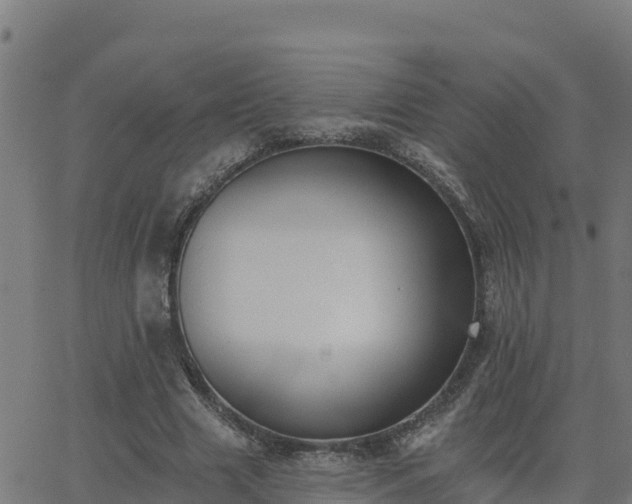 X0000062840633200601201639