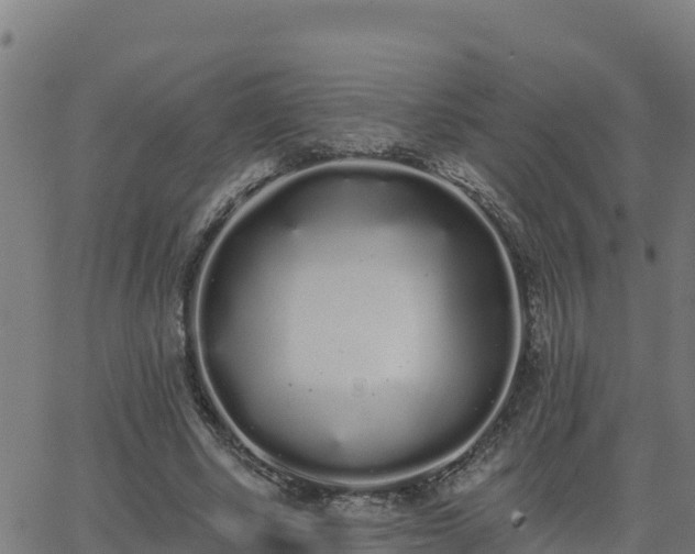 X0000062840634200601201639