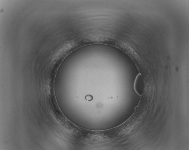 X0000062840635200601201639