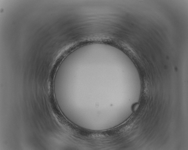 X0000062840636200601201639