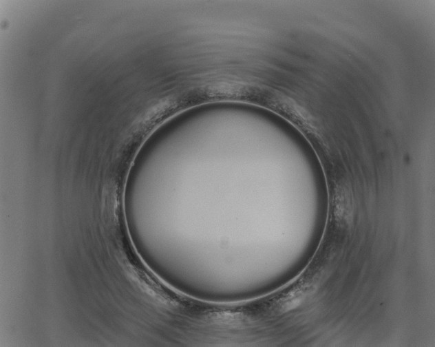 X0000062840637200601201639