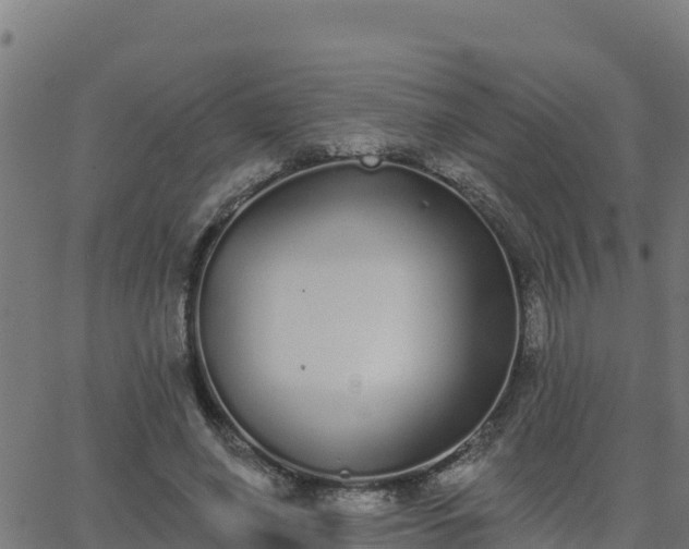 X0000062840638200601201639