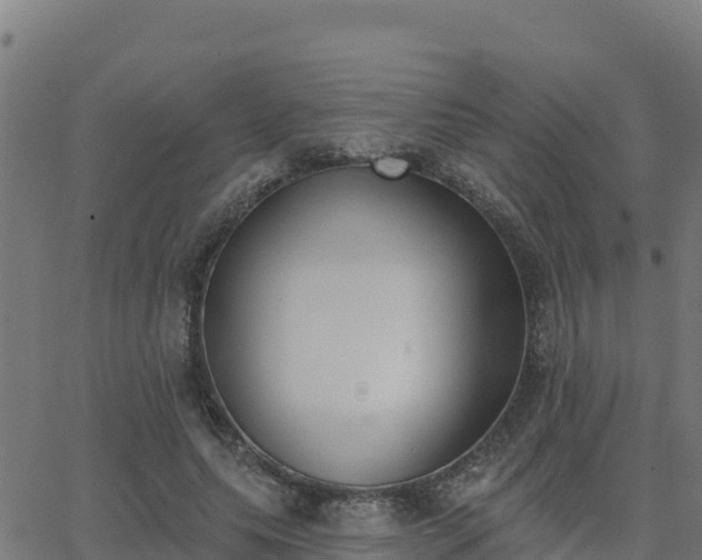 X0000062840639200601201639