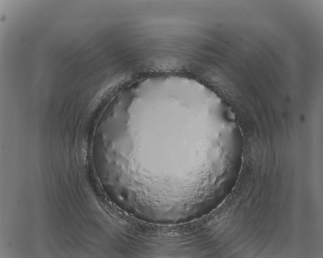 X0000062840640200601201639