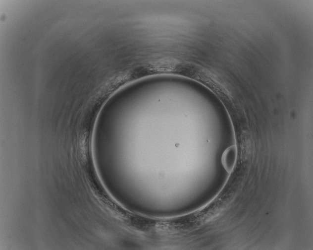 X0000062840641200601201639