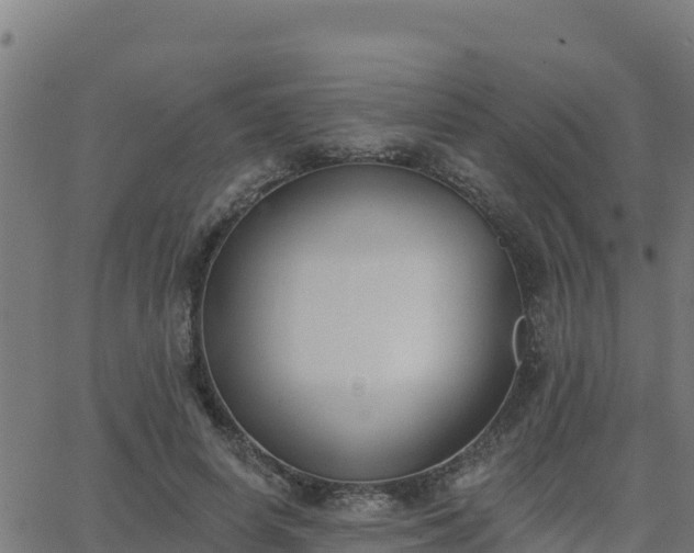 X0000062840642200601201639