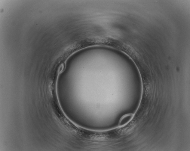 X0000062840643200601201639