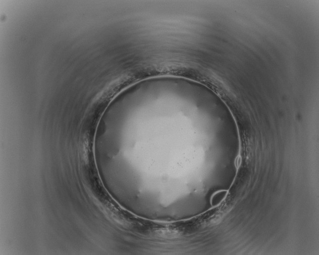 X0000062840644200601201639