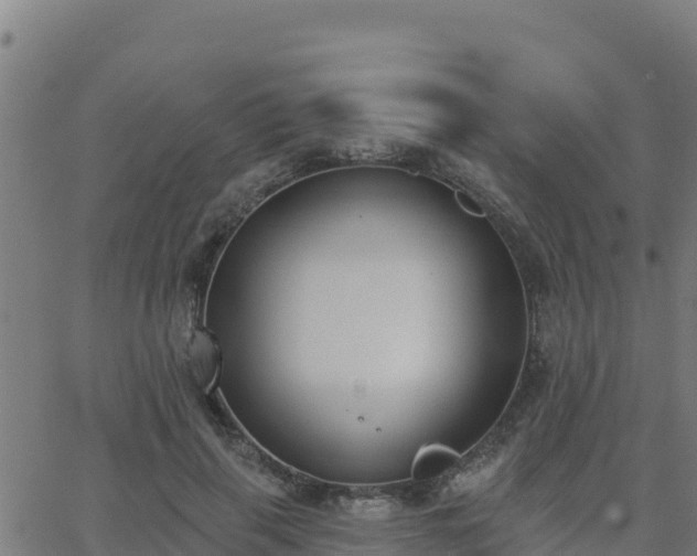 X0000062840645200601201639