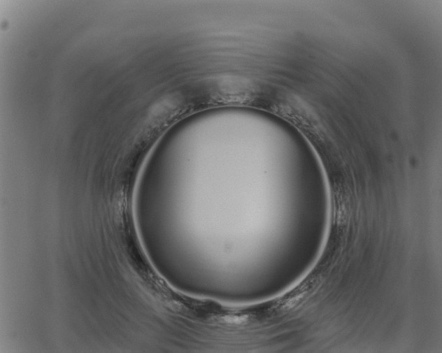 X0000062840647200601201639