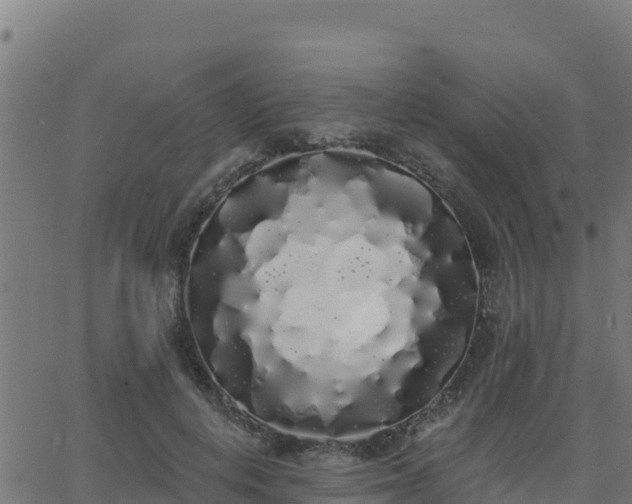 X0000062840648200601201639