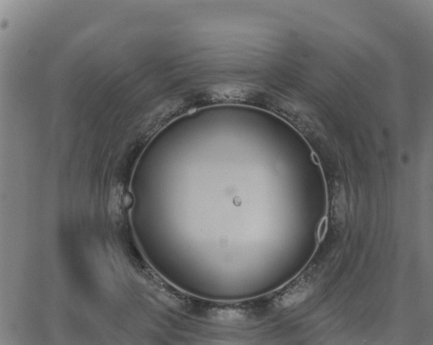 X0000062840649200601201639