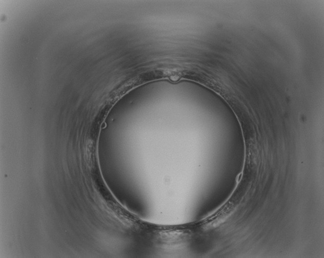 X0000062840650200601201639