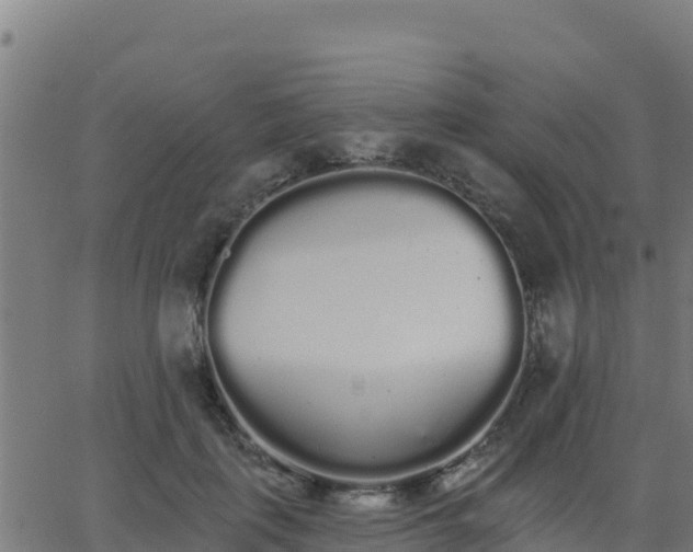 X0000062840651200601201639