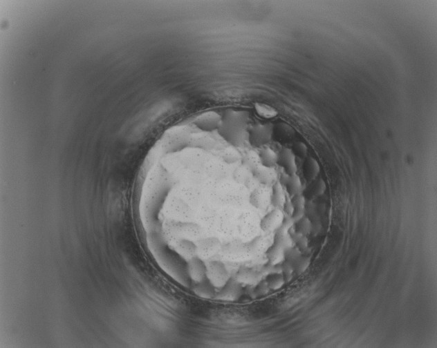 X0000062840652200601201639