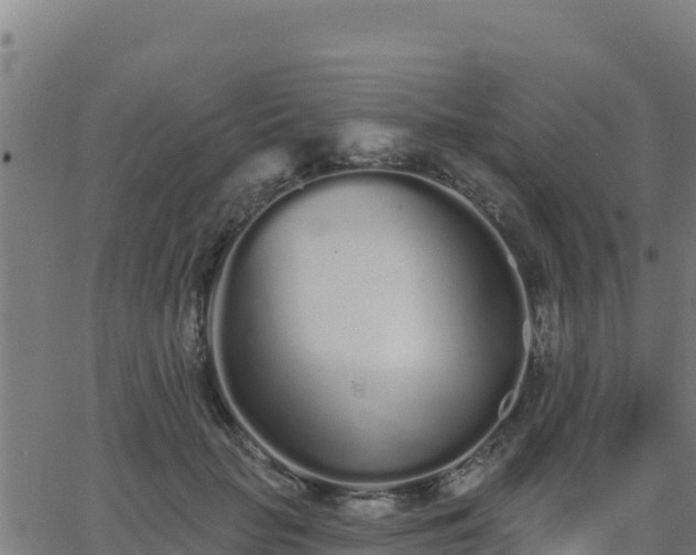 X0000062840653200601201639