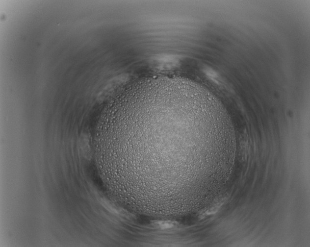 X0000062840654200601201639