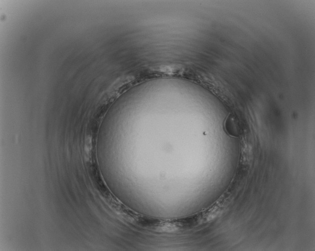 X0000062840656200601201639