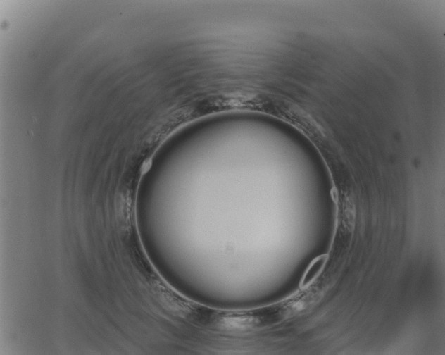 X0000062840657200601201639