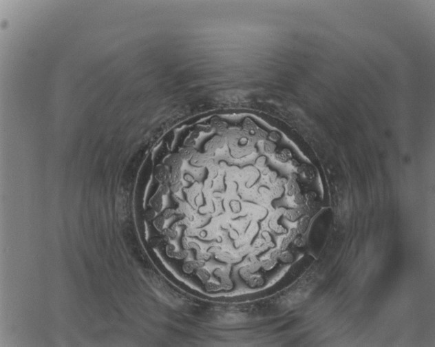 X0000062840658200601201639