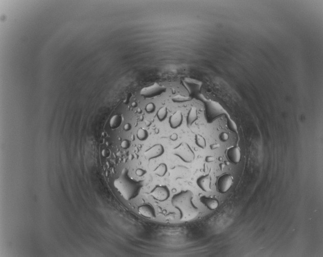 X0000062840659200601201639