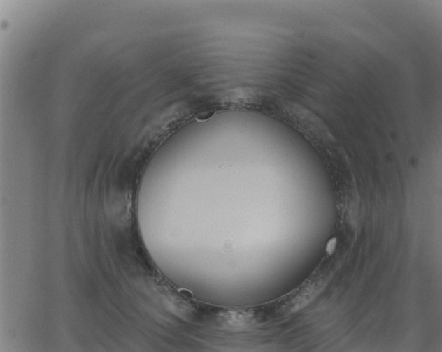 X0000062840660200601201639