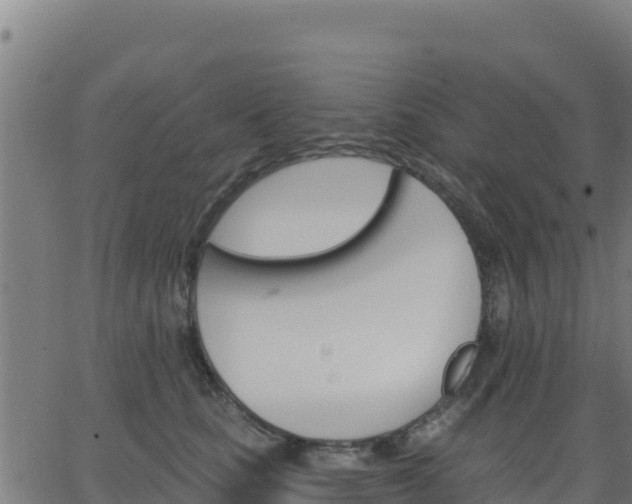 X0000062840661200601201639