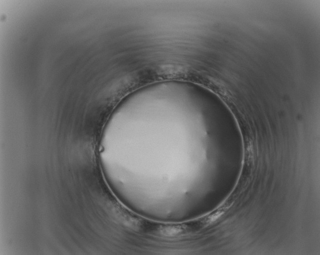 X0000062840662200601201639