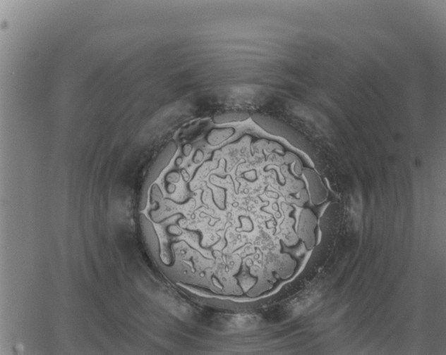 X0000062840663200601201639