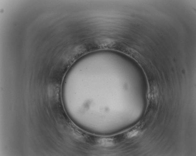 X0000062840664200601201639