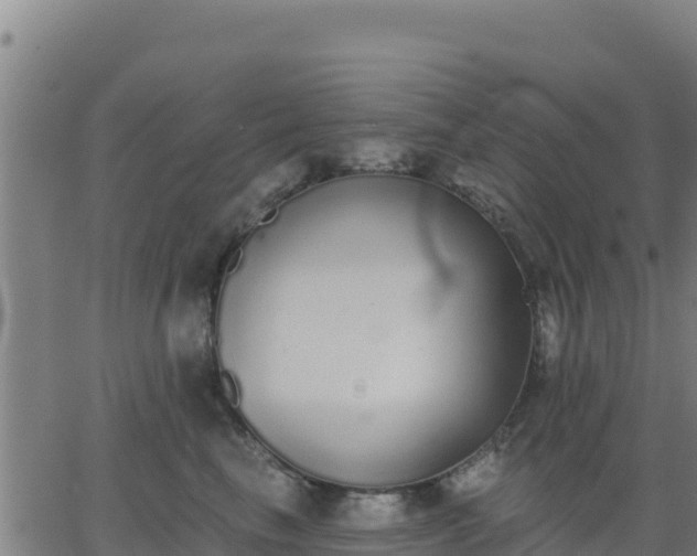 X0000062840665200601201639