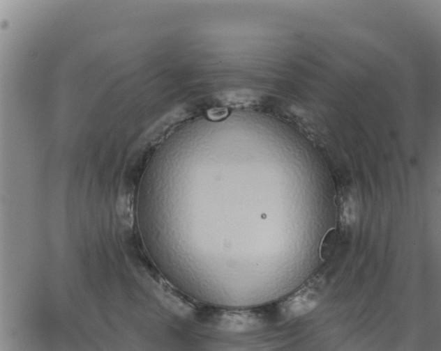 X0000062840666200601201639