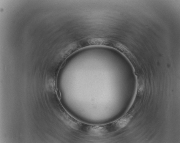 X0000062840669200601201639