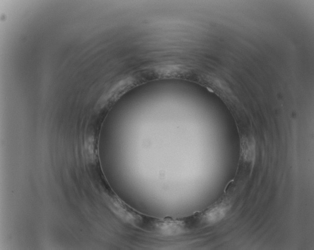 X0000062840670200601201639