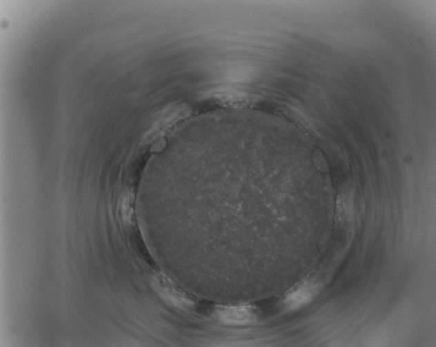 X0000062840671200601201639