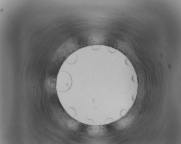 X0000062840672200601201639