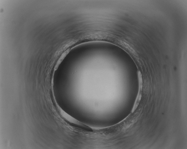 X0000062840673200601201638