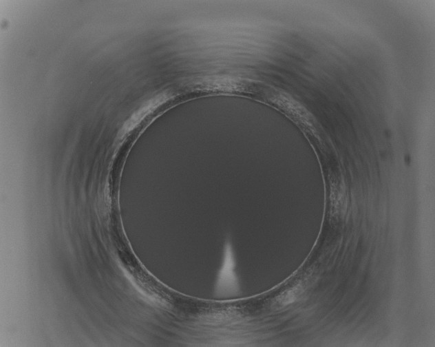 X0000062840674200601201638