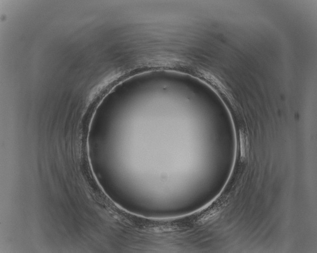 X0000062840675200601201638